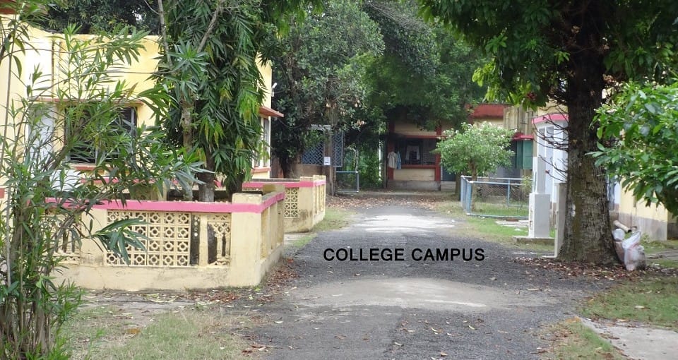 COLLEGE-CAMPUS-960x510 COLLEGE-CAMPUS-960x510
